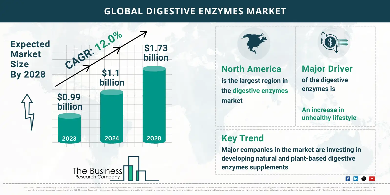 Global Digestive Enzymes Global Market Report 2024 Market