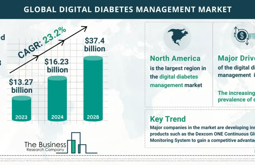 Global Digital Diabetes Management Global Market Report 2024 Market