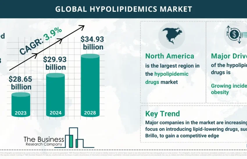 Global Hypolipidemics Global Market Report 2024 Market