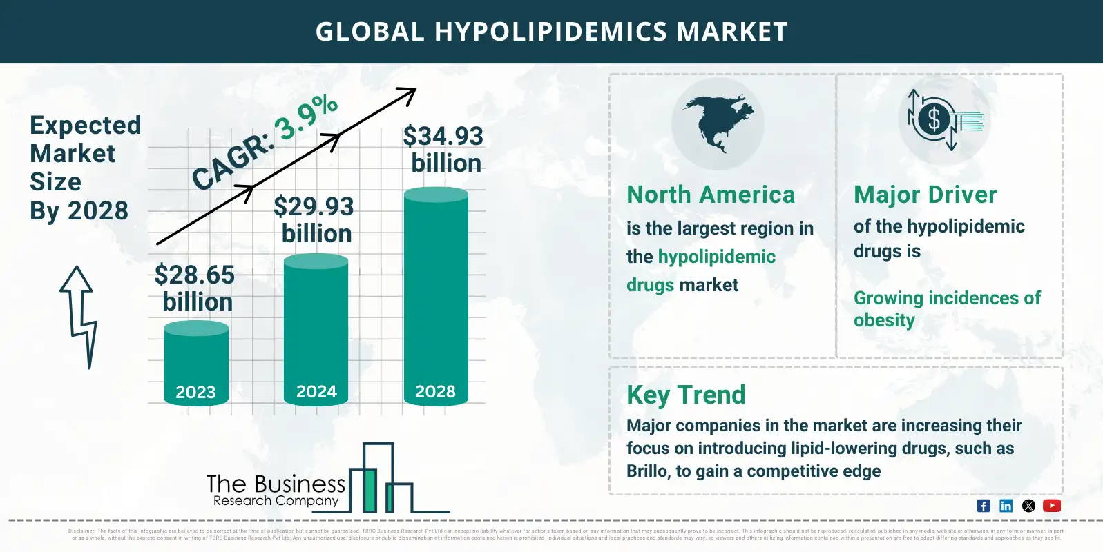 Global Hypolipidemics Global Market Report 2024 Market