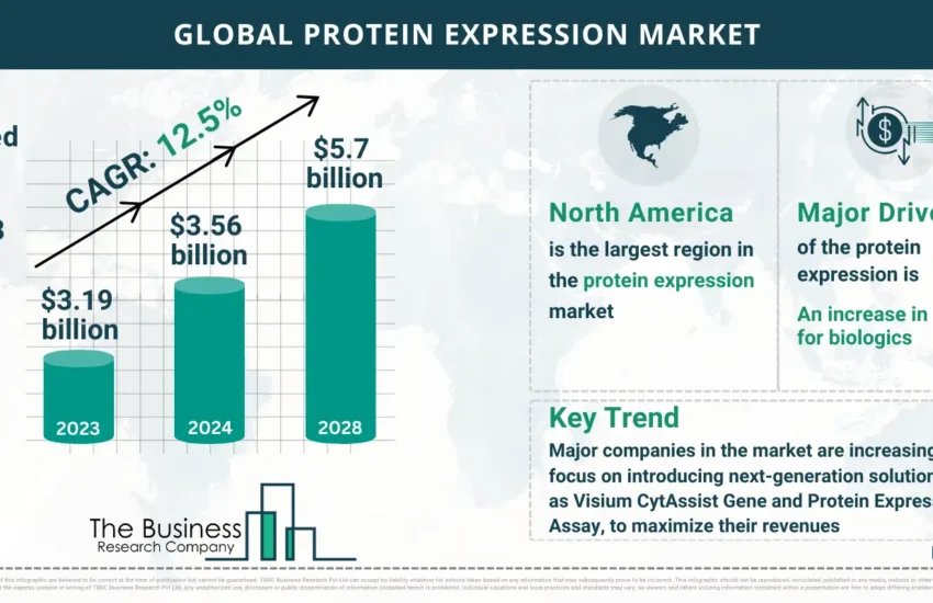 Global Protein Expression Market