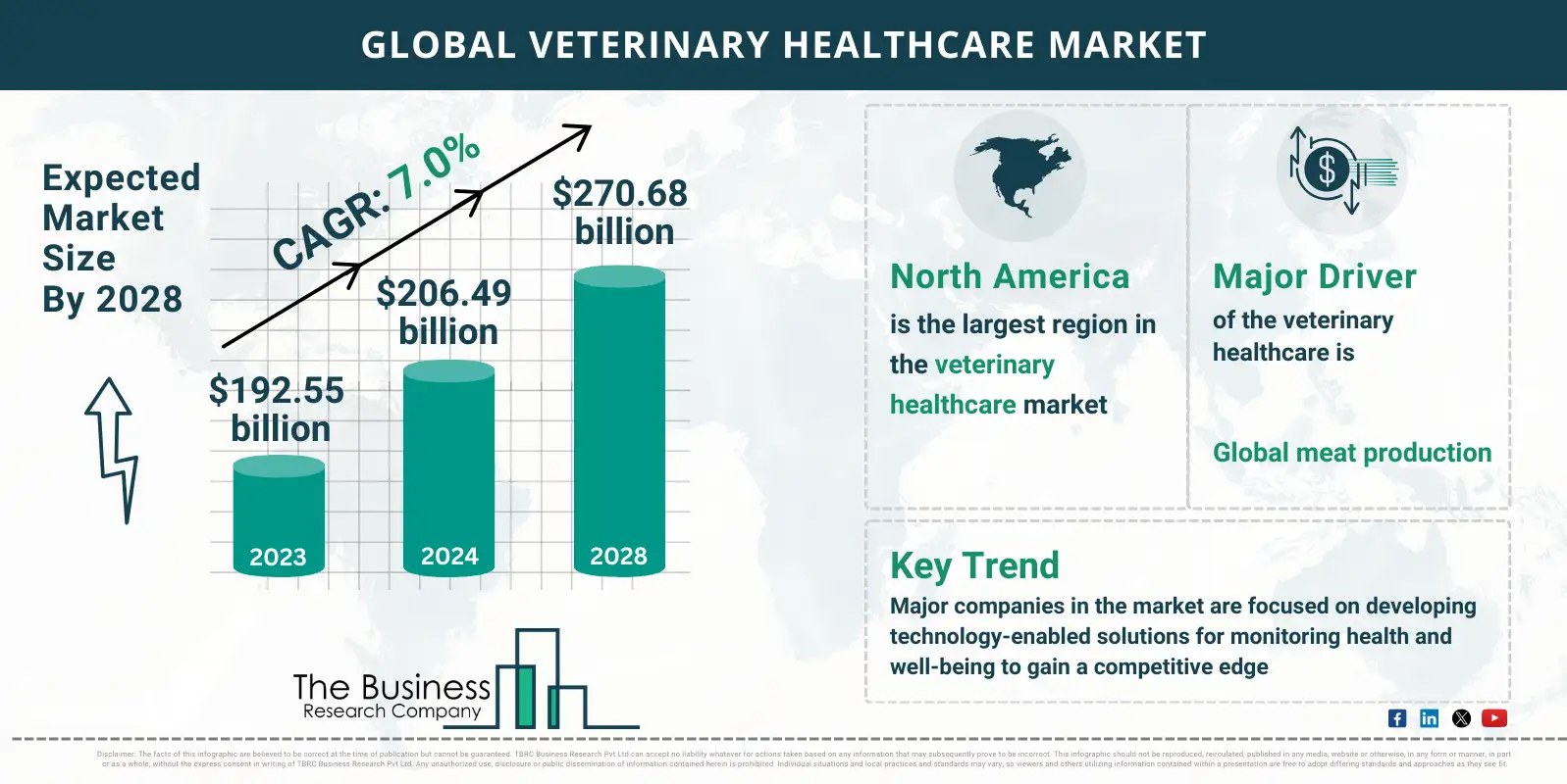 2024 Veterinary Healthcare Market Overview: Key Insights on Size, Share, and Trends