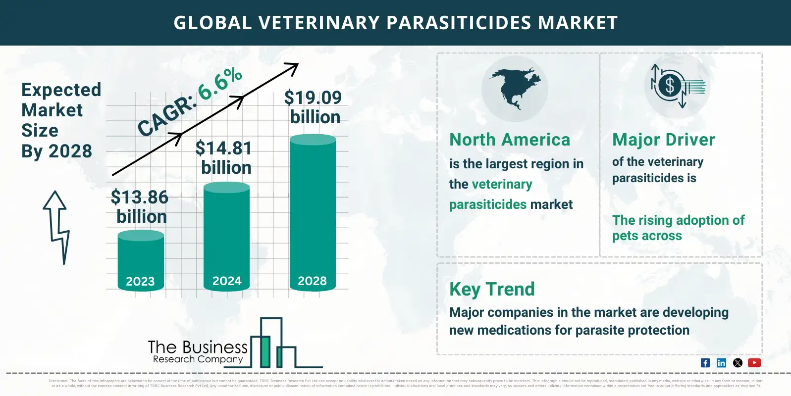 Understanding the Veterinary Parasiticides Market’s Growth Prospects from 2024 to 2033