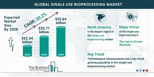 Global Single Use Bioprocessing Global Market Report 2024 Market