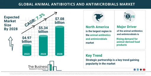 2024 Animal Antibiotics and Antimicrobials Market Analysis: Market Size, Key Drivers, and Segment Insights