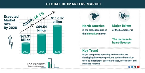 Global Biomarkers Market Forecast 2024-2033: Estimated Market Size And Growth Rate