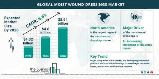 2024 Moist Wound Dressings Market Outlook: Size, Share, and Key Growth Drivers