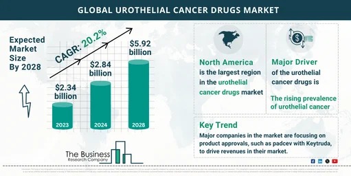 Key Insights into the Urothelial Cancer Drugs Market’s Growth Opportunities for 2024-2033