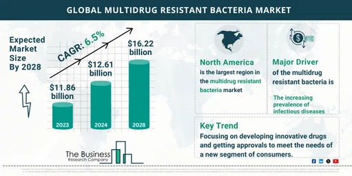 Multidrug Resistant Bacteria Market Key Insights 2024-2033: Growth Rate, Trends And Opportunities