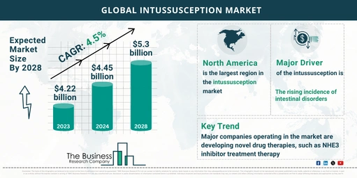 Global Intussusception Market