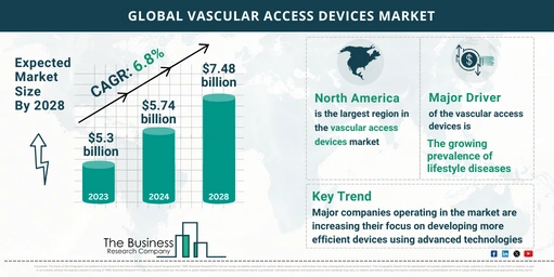 Global Vascular Access Devices Market