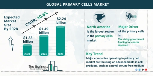 Global Primary Cells Market Forecast 2024-2033: Estimated Market Size And Growth Rate