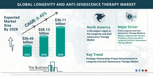 Insights into the Future Growth Potential of the Longevity And Anti-senescence Therapy Market 2024-2033