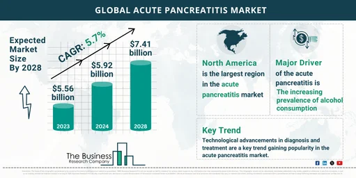 Acute Pancreatitis Market Key Insights 2024-2033: Growth Rate, Trends And Opportunities