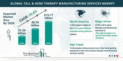 Global Cell & Gene Therapy Manufacturing Services Market