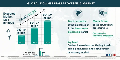 Global Downstream Processing Market