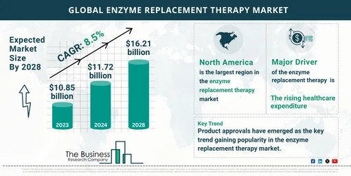 2024 Enzyme Replacement Therapy Market Outlook: Size, Share, and Key Growth Drivers