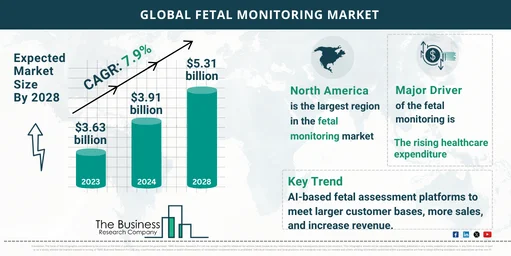 Global Fetal Monitoring Market Forecast 2024-2033: Estimated Market Size And Growth Rate