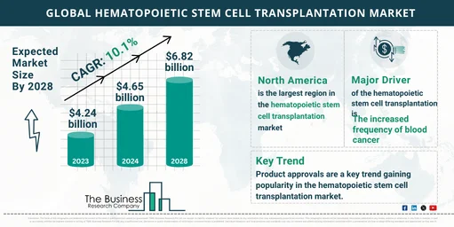 Future Outlook of the Global Hematopoietic Stem Cell Transplantation Market 2024-2033: Size and Growth Rate Predictions