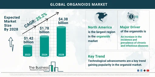 Global Organoids Market