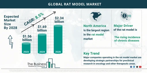 Global Rat Model Market