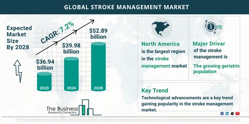 Stroke Management Market Forecast 2024-2033: Anticipated Size and Growth Trends