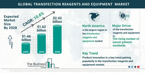 2024 Transfection Reagents And Equipment Market Outlook: Size, Share, and Key Growth Drivers