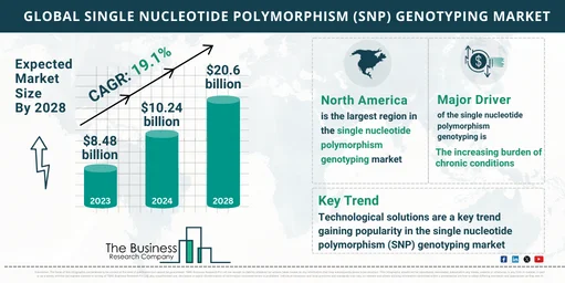 Single Nucleotide Polymorphism (SNP) Genotyping Market Growth Potential: Key Insights for 2024-2033