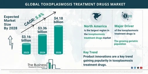 Global Toxoplasmosis Treatment Drugs Market