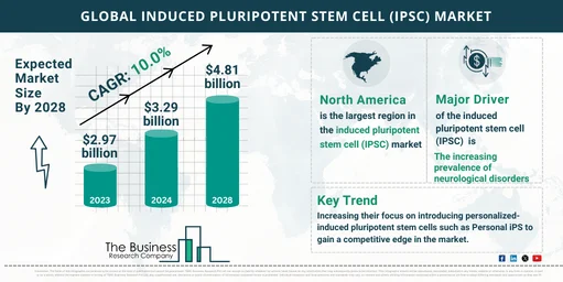 Induced Pluripotent Stem Cell