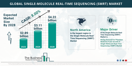 Comprehensive Single-Molecule Real-Time Sequencing (SMRT) Market Analysis 2024: Size, Share, And Key Trends
