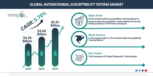 Global Antimicrobial Susceptibility Testing Market Analysis: Size, Drivers, Trends, Opportunities, And Strategies