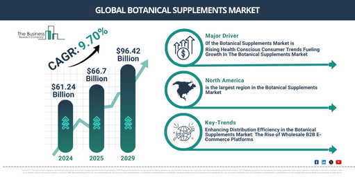 2025 Botanical Supplements Market Analysis: Market Size, Key Drivers, and Segment Insights