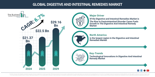 Global digestive and intestinal remedies Market