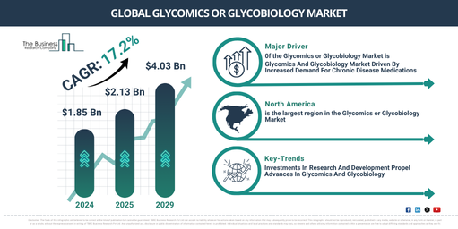 How Will the Glycomics or Glycobiology Market Grow? Key Trends and Opportunities for 2025 and Beyond