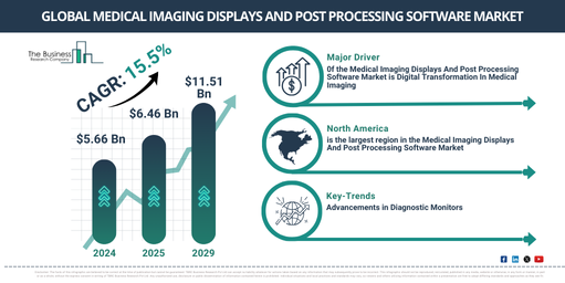 Key Highlights of the Medical Imaging Displays And Post Processing Software Market 2025-2034: Growth Dynamics, Trends, and Opportunities