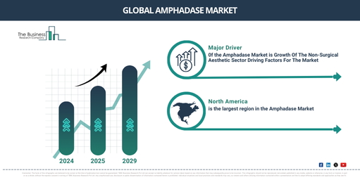 In-Depth Insights into the Amphadase Market: Growth, Trends, and Opportunities for 2025-2034