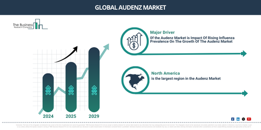 Global audenz Market