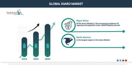 Global ixiaro Market