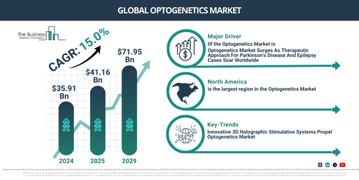 How Will the Optogenetics Market Grow? Key Trends and Opportunities for 2025 and Beyond