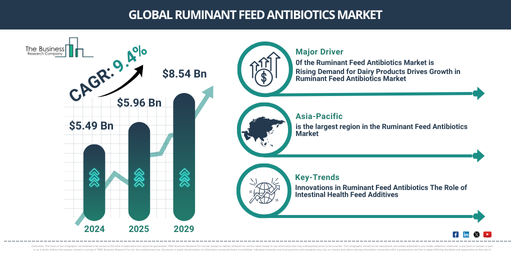 The Road Ahead for the Ruminant Feed Antibiotics Market: Key Growth Trends and Opportunities to Watch