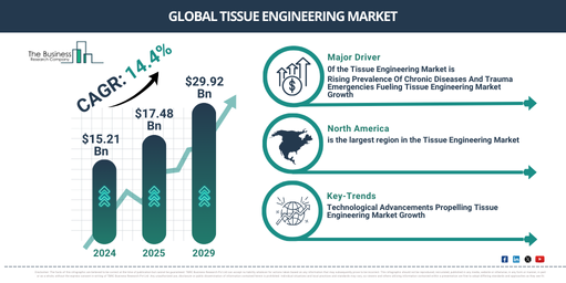 Comprehensive Analysis of the Tissue Engineering Market 2025-2034: Growth Rates, Trends, and Future Opportunities