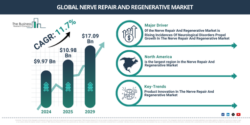 Global nerve repair and regenerative Market