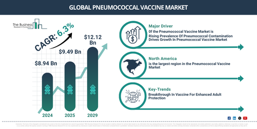 Pneumococcal Vaccine Market Trends 2025-2034: Insights into Growth and Strategic Opportunities Ahead