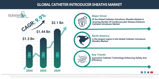 Global catheter introducer sheaths Market