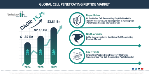 Global cell penetrating peptide Market