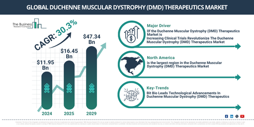 Comprehensive Analysis of the Duchenne Muscular Dystrophy (DMD) Therapeutics Market 2025-2034: Growth Rates, Trends, and Future Opportunities
