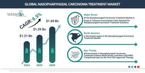 Growth, Trends, and Opportunities in the Nasopharyngeal Carcinoma Treatment Market: Key Insights for the Next Decade