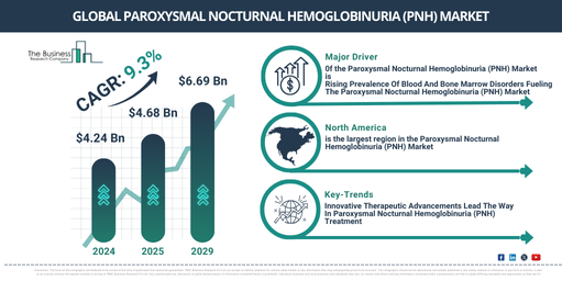 Global paroxysmal nocturnal hemoglobinuria (pnh) Market