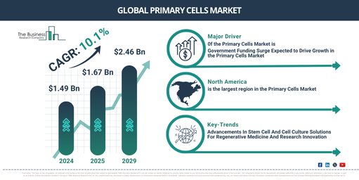 Global primary cells Market